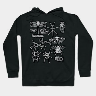 Minibeasts T Shirt With Insects Hoodie